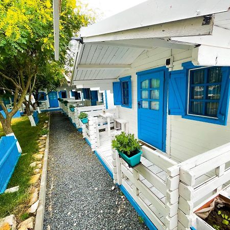 Manu B&B Murighiol Exteriör bild